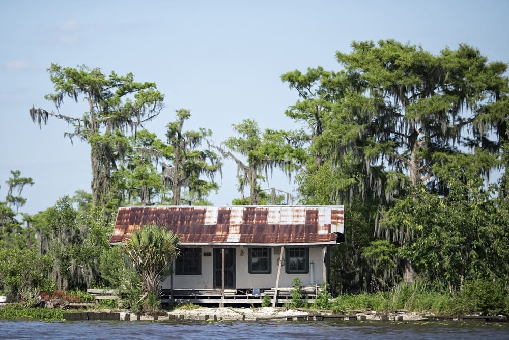 Haunted places in US: Manchac Swamp