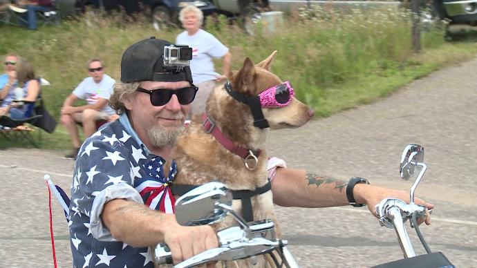 Harley Rose the dog who loves to ride Harley-Davidson motorcycles